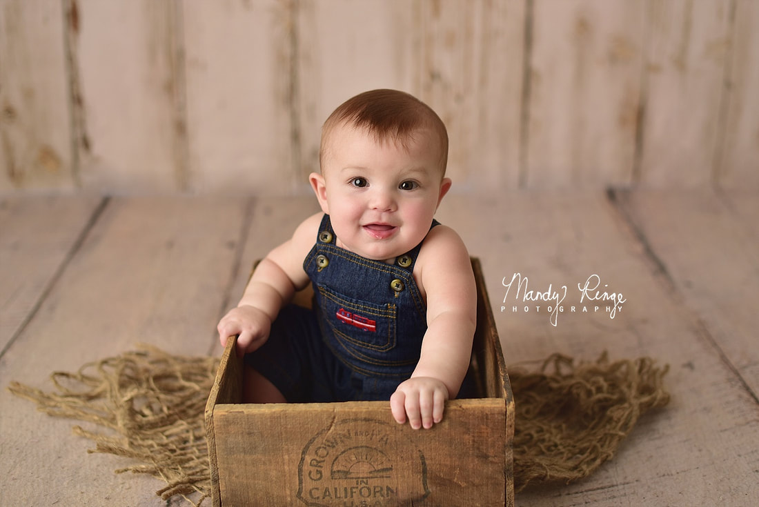 Babies, milestone session, sitter, baby, St. Charles, IL, outdoors, Mandy Ringe Photography