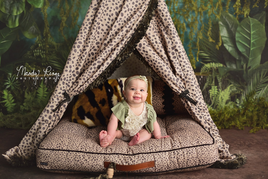 6 month milestone session // baby girl, cheetah jungle theme, Kate Backdrop // Sycamore, IL studio photographer // Mandy Ringe Photography