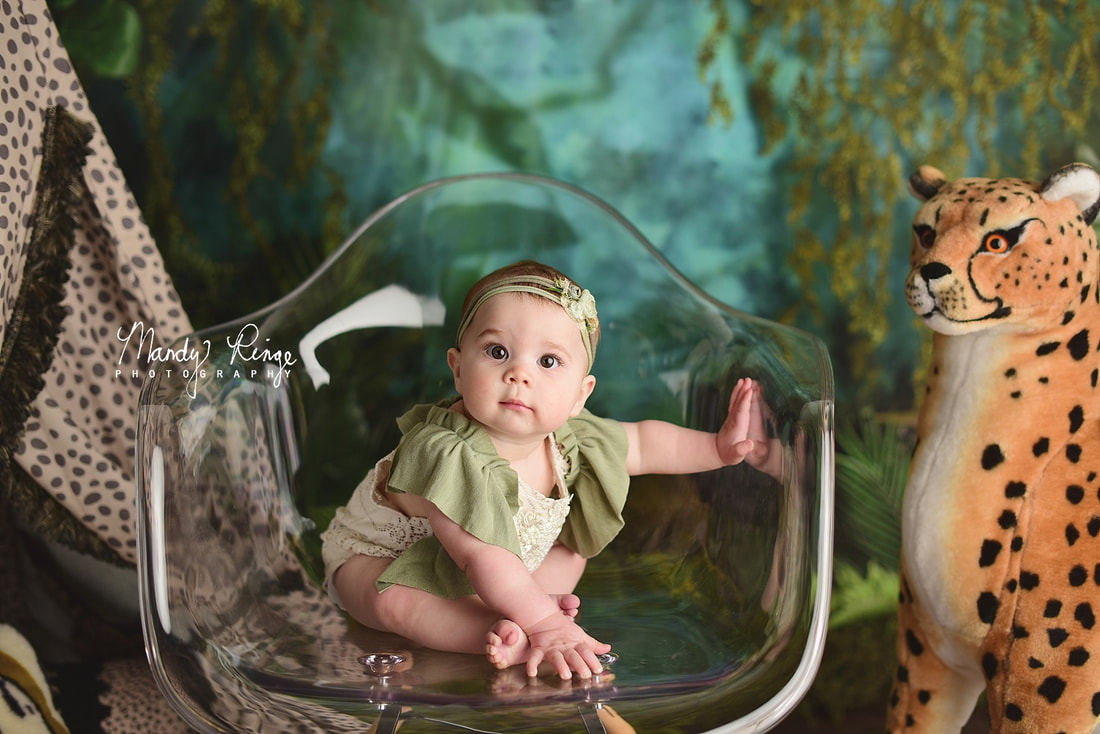 6 month milestone session // baby girl, cheetah jungle theme, Kate Backdrop // Sycamore, IL studio photographer // Mandy Ringe Photography