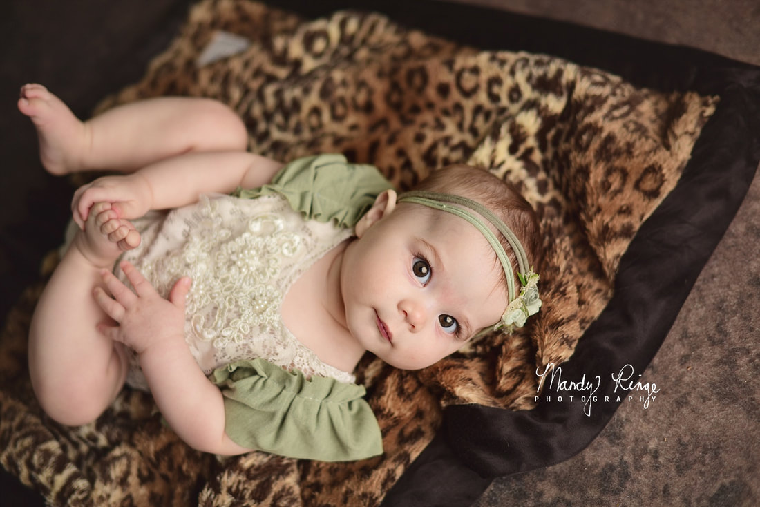 6 month milestone session // baby girl, cheetah jungle theme // Sycamore, IL studio photographer // Mandy Ringe Photography