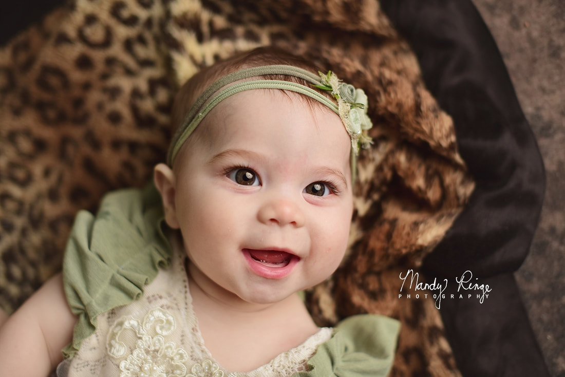 6 month milestone session // baby girl, cheetah jungle theme // Sycamore, IL studio photographer // Mandy Ringe Photography