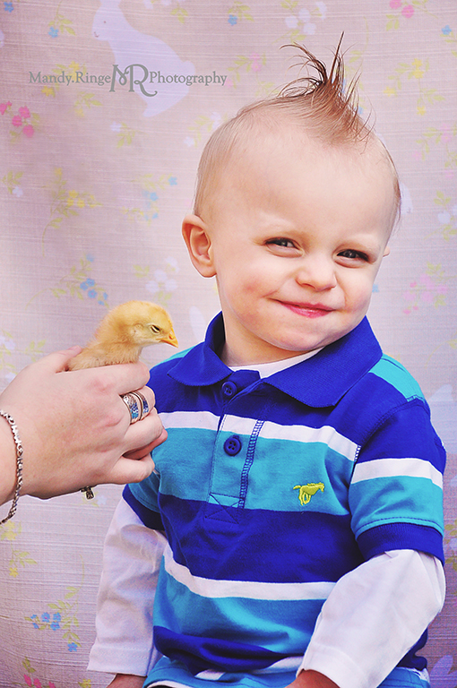 Easter photo shoot // Cousins, boys, bunny backdrop, live chick // Camden, OH // by Mandy Ringe Photography