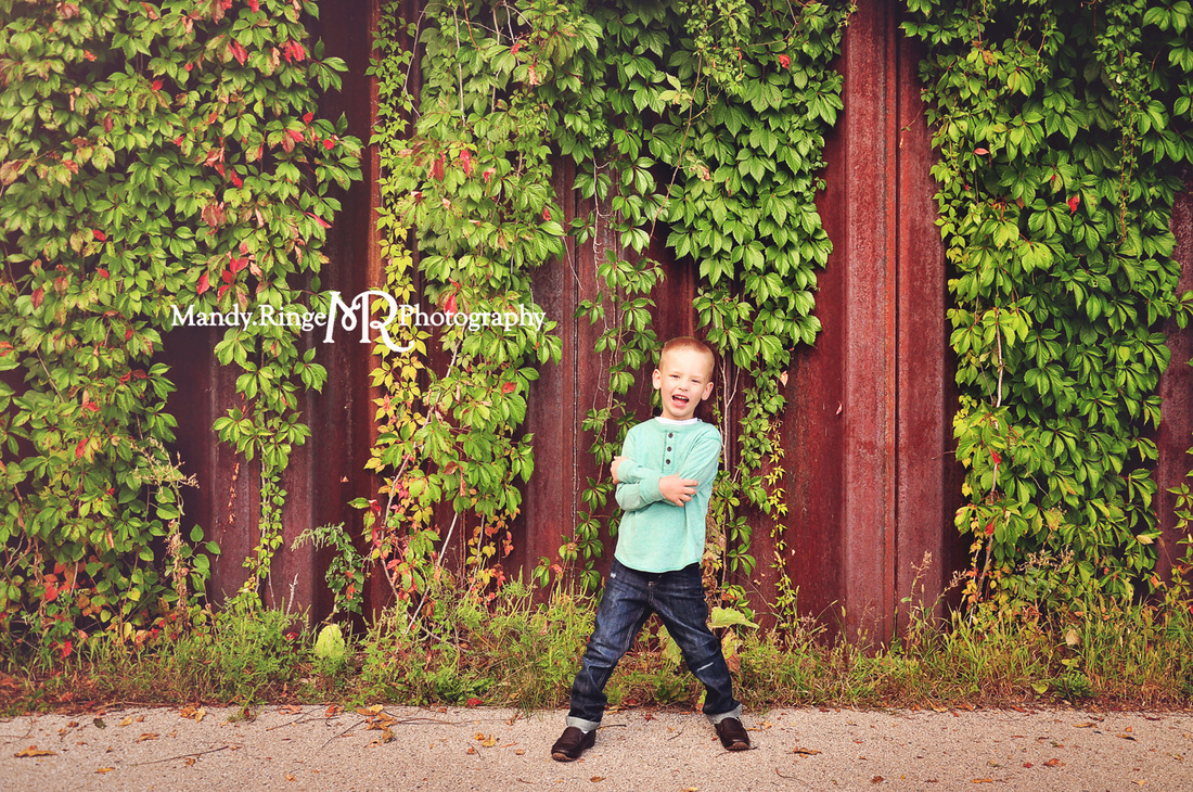 5th birthday portraits // Pottawatomie Park - St. Charles, IL // by Mandy Ringe Photography