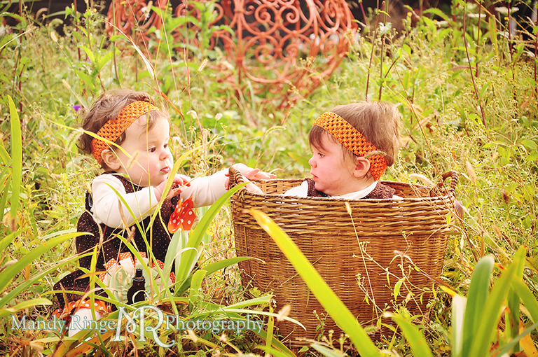Fall portraits of 9 month old twins wearing Thanksgiving dresses // In a garden with one sitting in a basket while the other stands // St. James Farm - Wheaton, IL // by Mandy Ringe Photography
