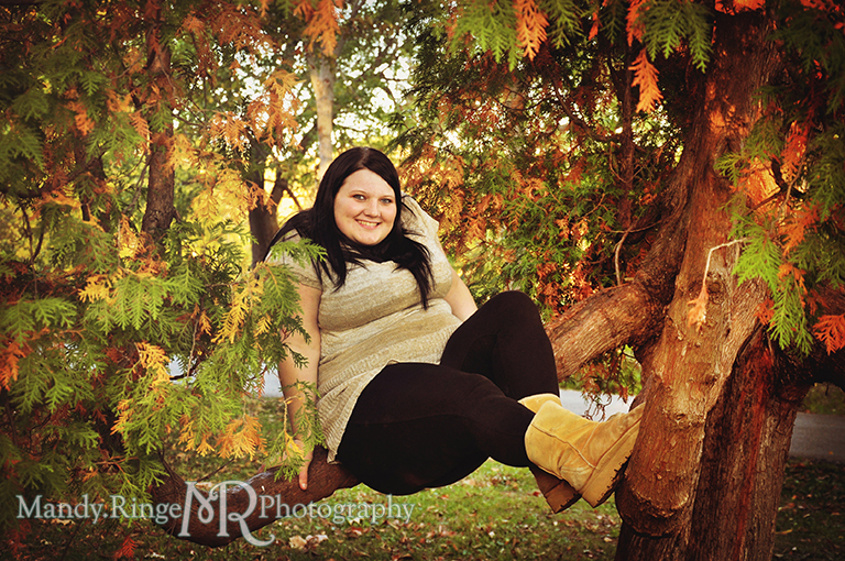 Teen girl sitting on the branch of a pine tree // Senior Photos // Fabyan Forest Preserve - Batavia, IL // by Mandy Ringe Photography