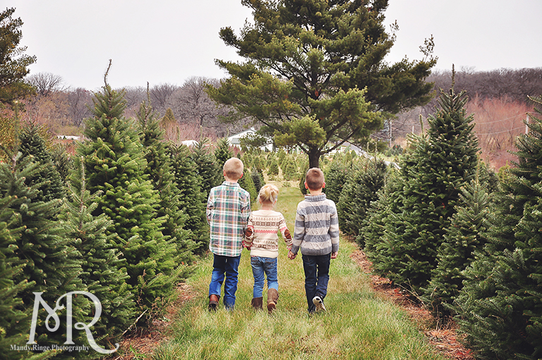 Family Christmas Portrait // Christmas Tree Farm // simple Christmas photo idea, kids walking away between rows of pine trees // by Mandy Ringe Photography
