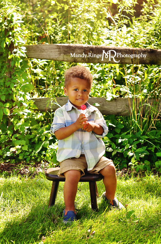 Second birthday portraits // outdoors, wooden fence // Delnor Woods Park - St. Charles, IL // by Mandy Ringe Photography