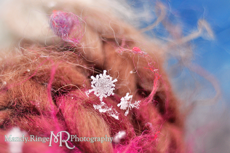 Snowflake macro // brown and fuchsia scarf // St. Charles, IL // by Mandy Ringe Photography