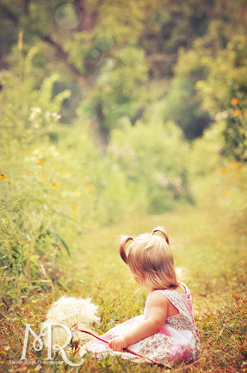 Baby girl holding giant dandelion // Ferson Creek Fen // by Mandy Ringe Photography