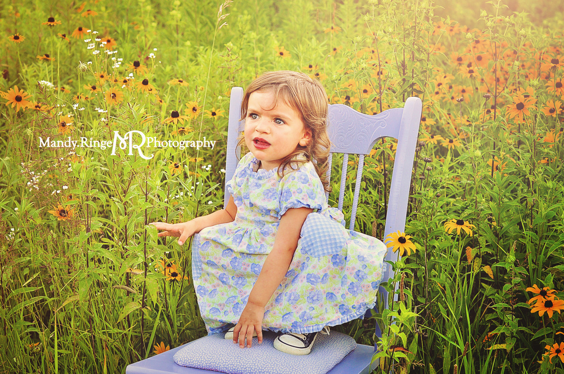 Extended family portraits // Wildflowers // Leroy Oakes Forest Preserve - St. Charles, IL // by Mandy Ringe Photography