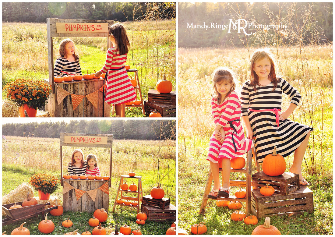Pumpkin Stand styled mini session // Outdoors with a prairie backdrop, a wooden pumpkin stand, real pumpkins, mums, baskets, a ladder, and a mini wheelbarrow // Leroy Oakes Forest Preserve - St Charles, IL // by Mandy Ringe Photography