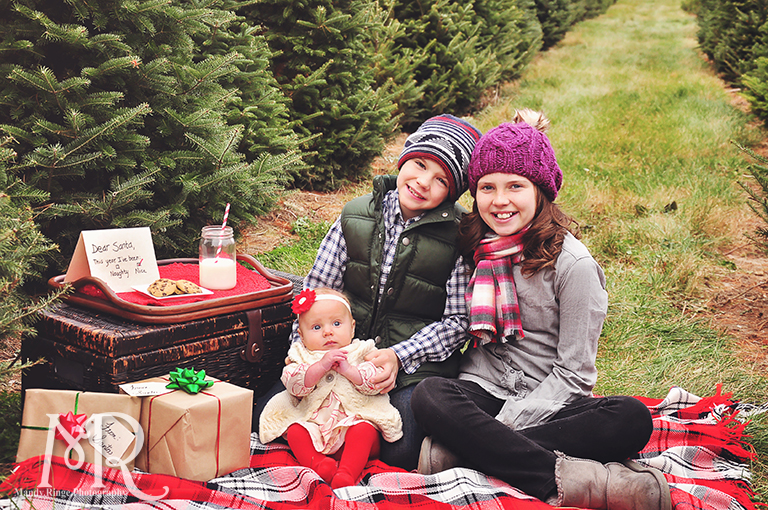 Family Christmas Portrait // Christmas Tree Farm // with milk, cookies, a letter to Santa and presents // by Mandy Ringe Photography