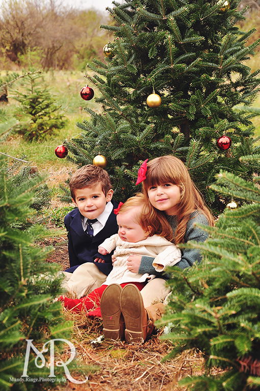 Family Christmas Portrait // Christmas Tree Farm // with red and gold decorated tree // by Mandy Ringe Photography