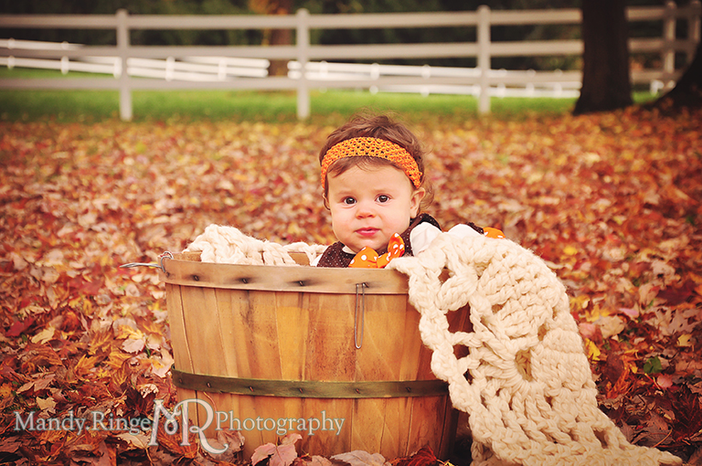 Fall portraits of 9 month old twins // Sitting in a basket among leaves // St. James Farm - Wheaton, IL // by Mandy Ringe Photography