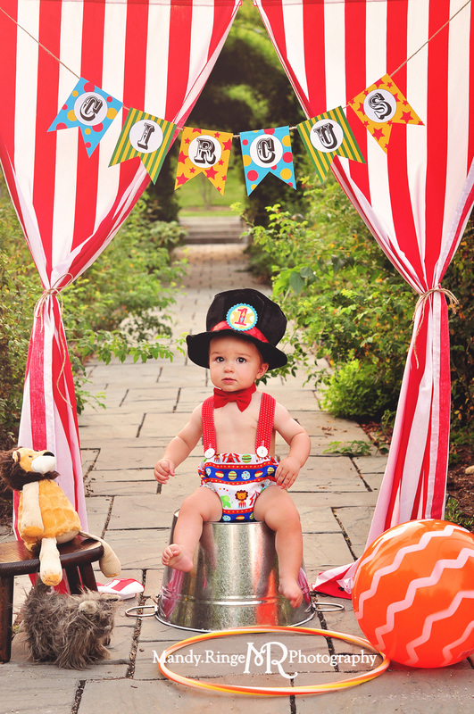 Circus themed first birthday portraits // outdoors, red and white stripes, stuffed lion, ball, hula hoop, stuffed dog, banner // Geneva, IL // by Mandy Ringe Photographer