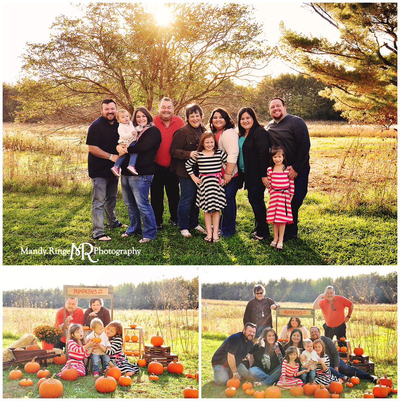 Pumpkin Stand styled mini session // Outdoors with a prairie backdrop, a wooden pumpkin stand, real pumpkins, mums, baskets, a ladder, and a mini wheelbarrow // Leroy Oakes Forest Preserve - St Charles, IL // by Mandy Ringe Photography