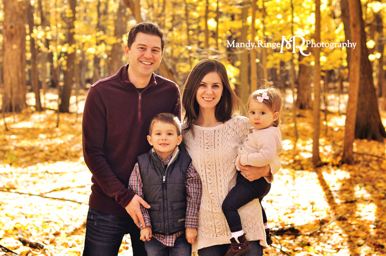 Fall family portraits // Yellow maple tree grove, leaves, forest, woods // River Trail Nature Center - Northbrook, IL // by Mandy Ringe Photography