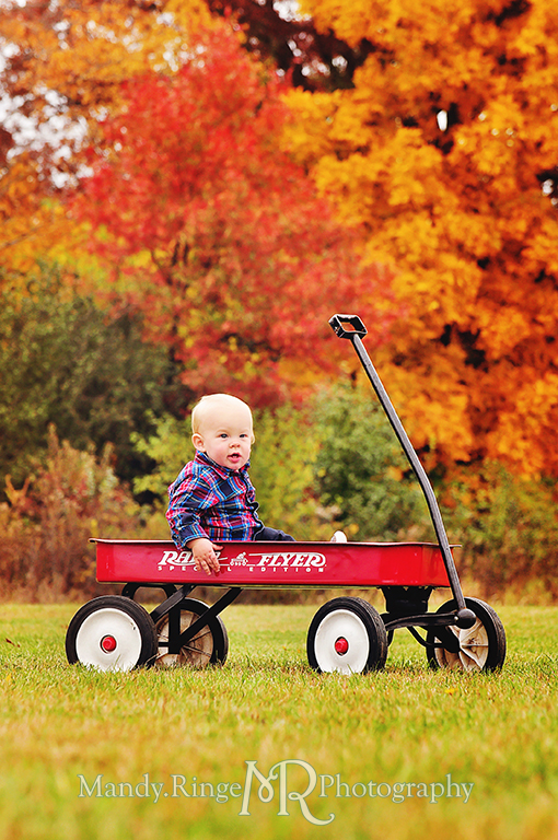 1 year old boy sitting in a Radio Flyer wagon with colorful autumn trees in the background // First birthday portraits // Leroy Oaks - St Charles, IL // by Mandy Ringe Photography
