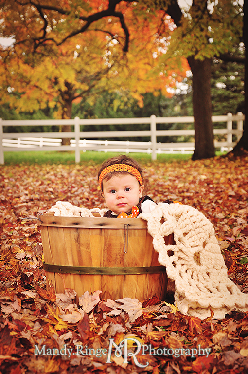 Fall portraits of 9 month old twins // Sitting in a basket among leaves // St. James Farm - Wheaton, IL // by Mandy Ringe Photography