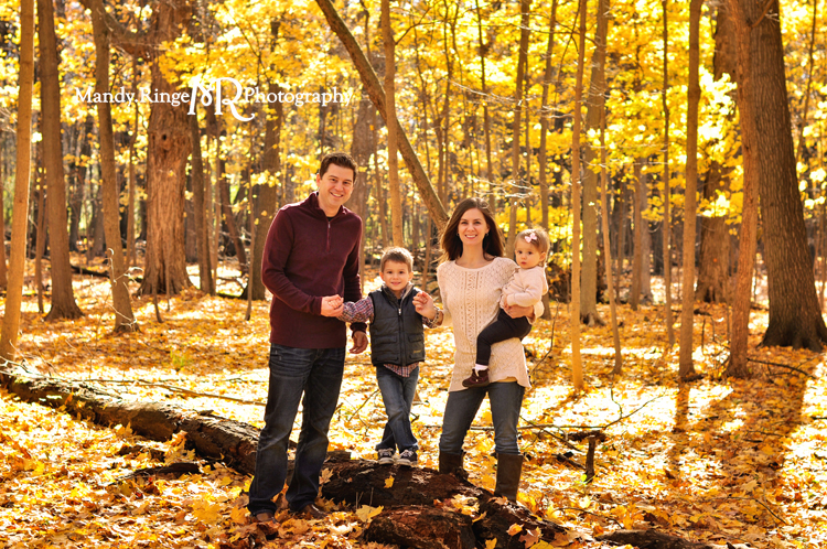 Fall family portraits // Yellow maple tree grove, leaves, forest, woods, log // River Trail Nature Center - Northbrook, IL // by Mandy Ringe Photography