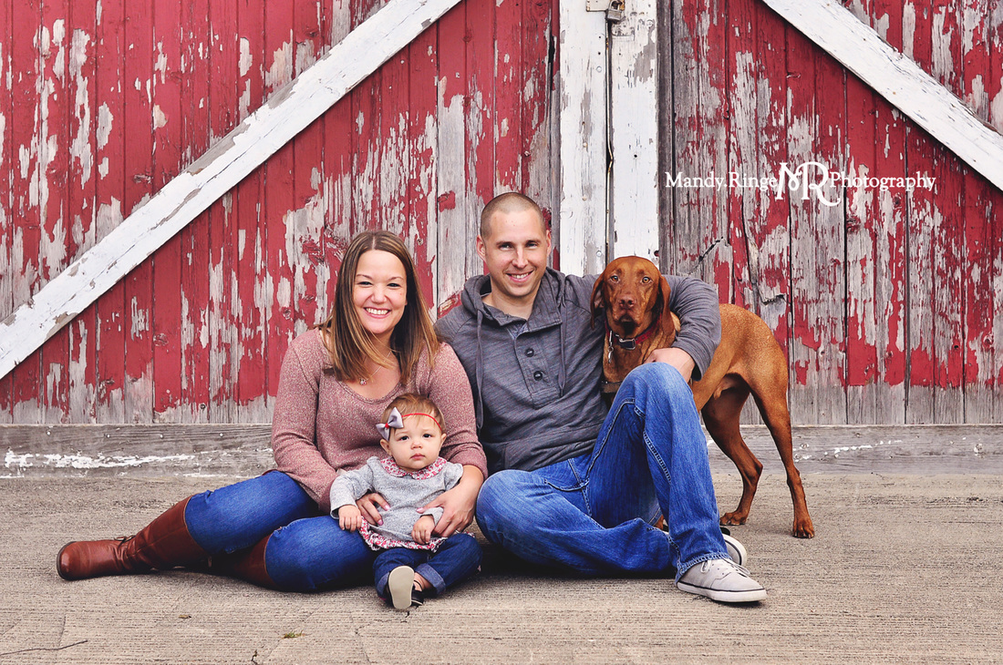 First birthday family portraits // Red and white barn, rustic, family dog, fall portrait // Leroy Oakes Forest Preserve - St. Charles IL // by Mandy Ringe Photography