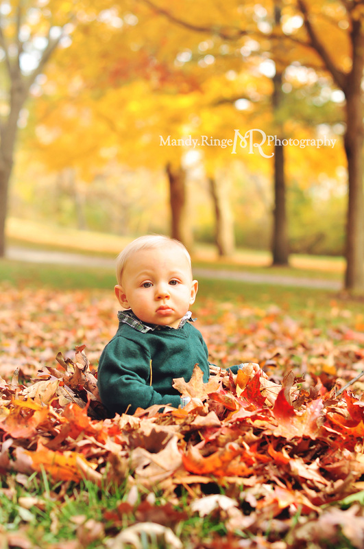 9 month old boy portraits // fall, autumn, leaves, fall foliage // Pottawatomie Park - St. Charles, IL // by Mandy Ringe Photography