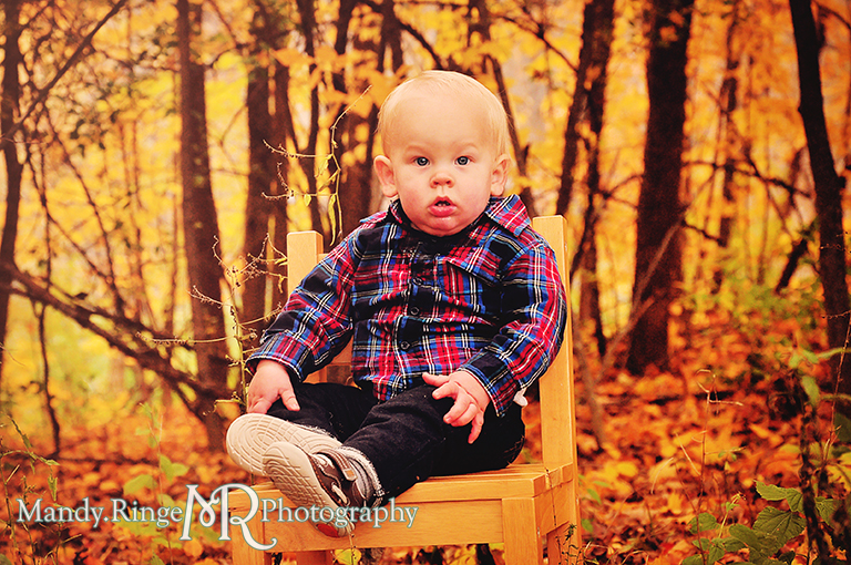 1 year old boy sitting on a chair in a grove of yellow maple trees // First birthday portraits // Leroy Oaks - St Charles, IL // by Mandy Ringe Photography