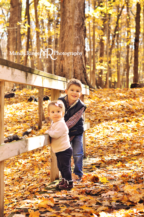 Fall family portraits // Yellow maple tree grove, leaves, forest, woods, wooden bridge // River Trail Nature Center - Northbrook, IL // by Mandy Ringe Photography