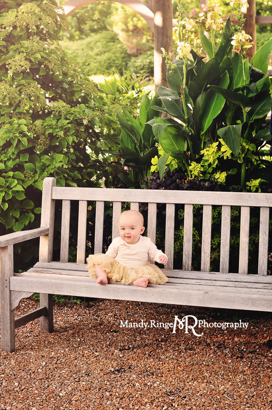 Six month milestone portraits // baby girl, outdoors, garden // Cantigny Gardens - Wheaton, IL // by Mandy Ringe Photography