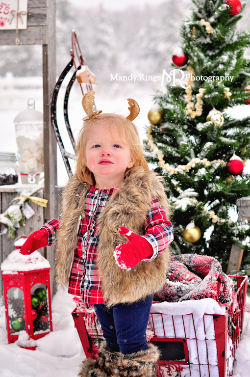 Hot cocoa stand styled mini session // wooden stand, Christmas tree, wreath, snow, pine trees, chairs, plaid thermos // Leroy Oakes - St Charles, IL // by Mandy Ringe Photography
