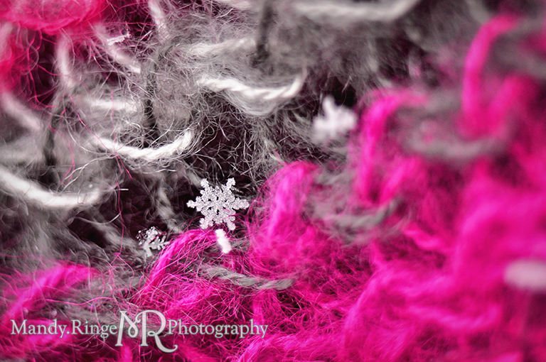 Snowflake macro // Gray, white and fuchsia pink scarf // St. Charles, IL // by Mandy Ringe Photography
