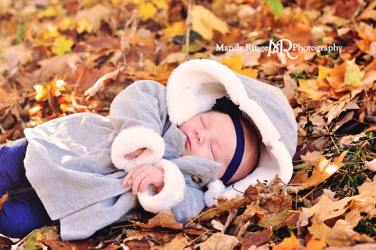 Fall extended family portraits // newborn laying in leaves // Delnor Woods Park - St. Charles, IL // by Mandy Ringe Photography
