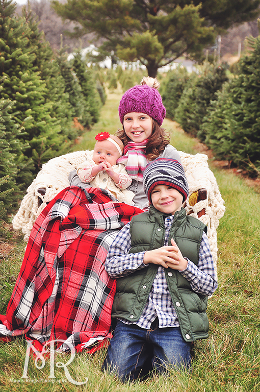Family Christmas Portrait // Christmas Tree Farm // sitting in a chair with blankets // by Mandy Ringe Photography