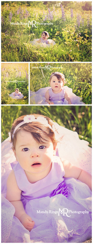 9 month old girl portraits // Wild indigo field, purple dress, prairie wildflowers // St. Charles, IL // by Mandy Ringe Photography