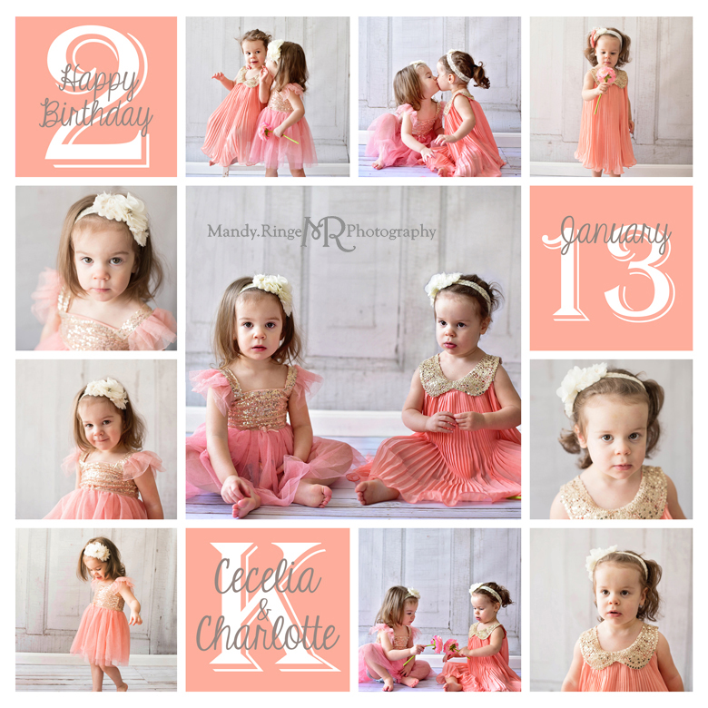 Twin girls' second birthday photo shoot // Vintage inspired, pink and gold dresses, pleated dress, tutu // Client's home - Winfield, IL // by Mandy Ringe Photography