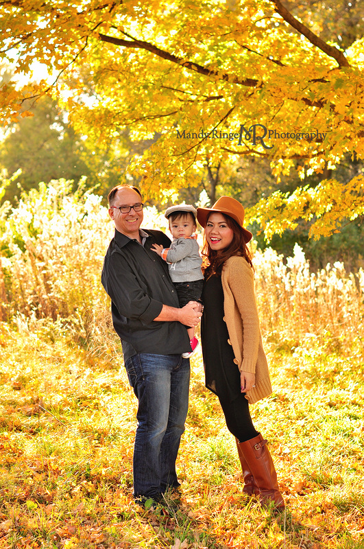 Fall family mini sessions // bright yellow trees, fall foliage, colorful leaves, golden hour // Leroy Oakes - St. Charles, IL // by Mandy Ringe Photography