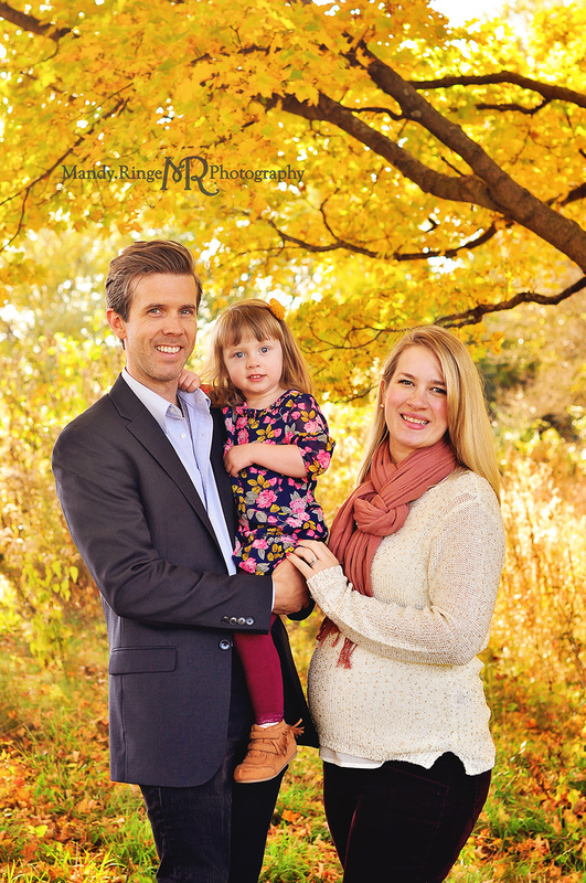 Fall family mini sessions // bright yellow trees, fall foliage, colorful leaves // Leroy Oakes - St. Charles, IL // by Mandy Ringe Photography