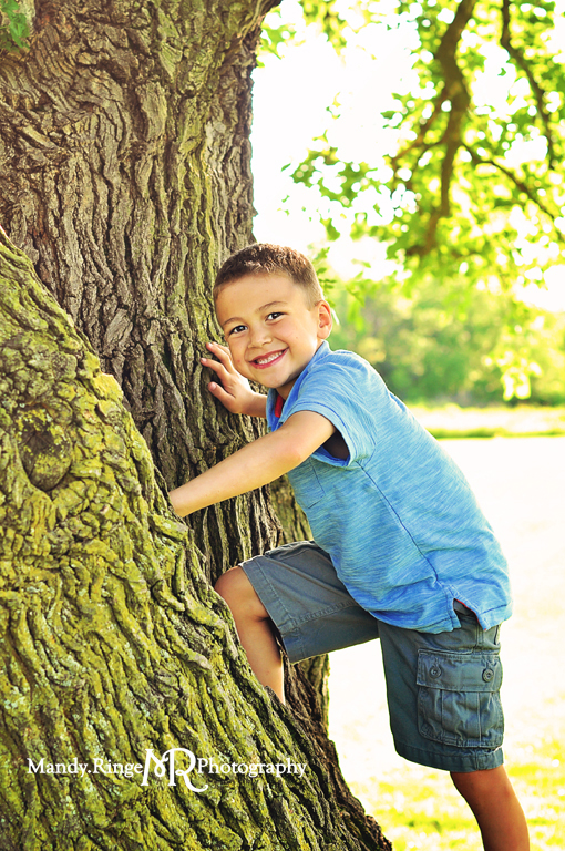 Family portrait session // Climbing a tree // Leroy Oakes Forest Preserve - St. Charles, IL // by Mandy Ringe Photography