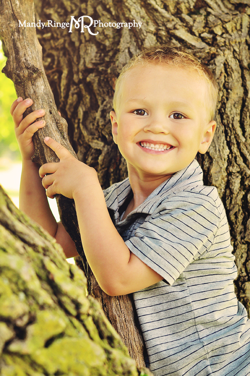 Family portrait session // Climbing a tree // Leroy Oakes Forest Preserve - St. Charles, IL // by Mandy Ringe Photography