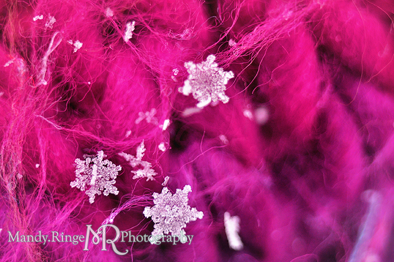 Snowflake macro // pink, purple, fuchsia scarf // St. Charles, IL // by Mandy Ringe Photography