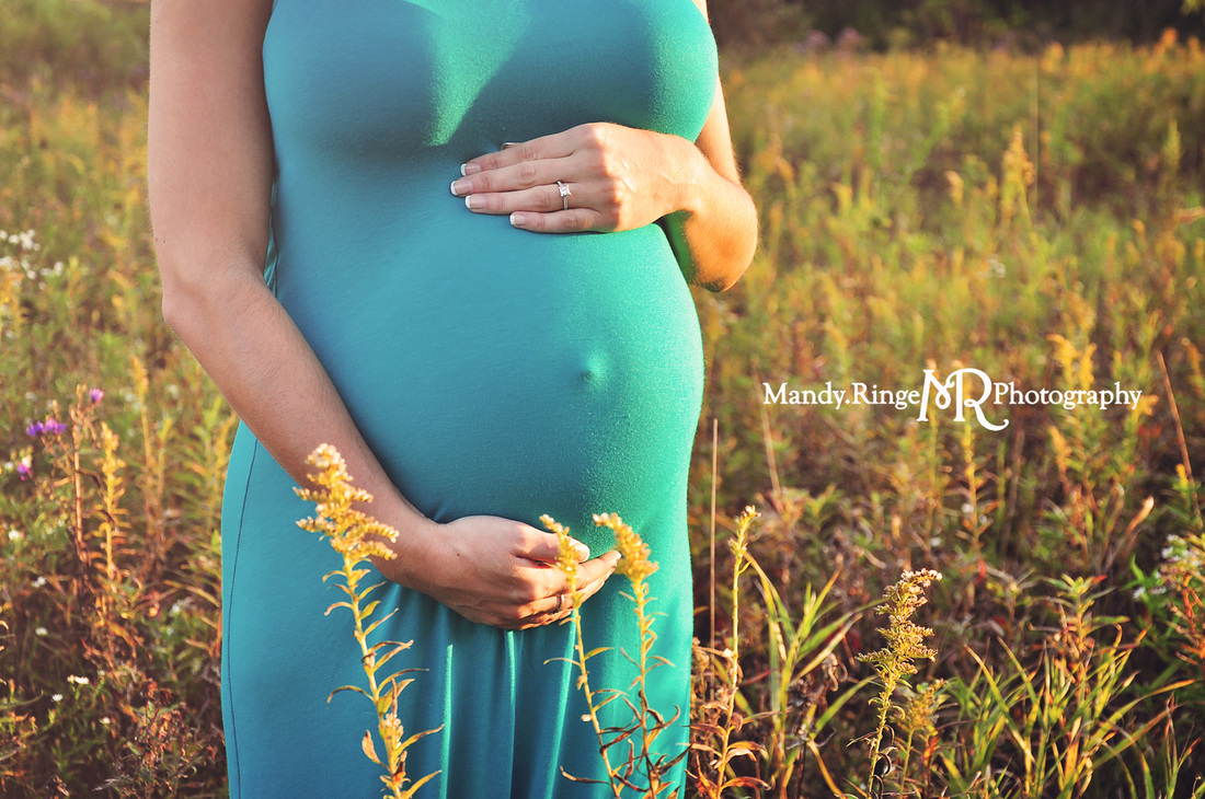 St. Charles, Batavia, Geneva, Wheaton, IL Family, Child, Baby, and Maternity Photographer: Maternity Portraits at Leroy Oakes Forest Preserve by Mandy Ringe Photography 