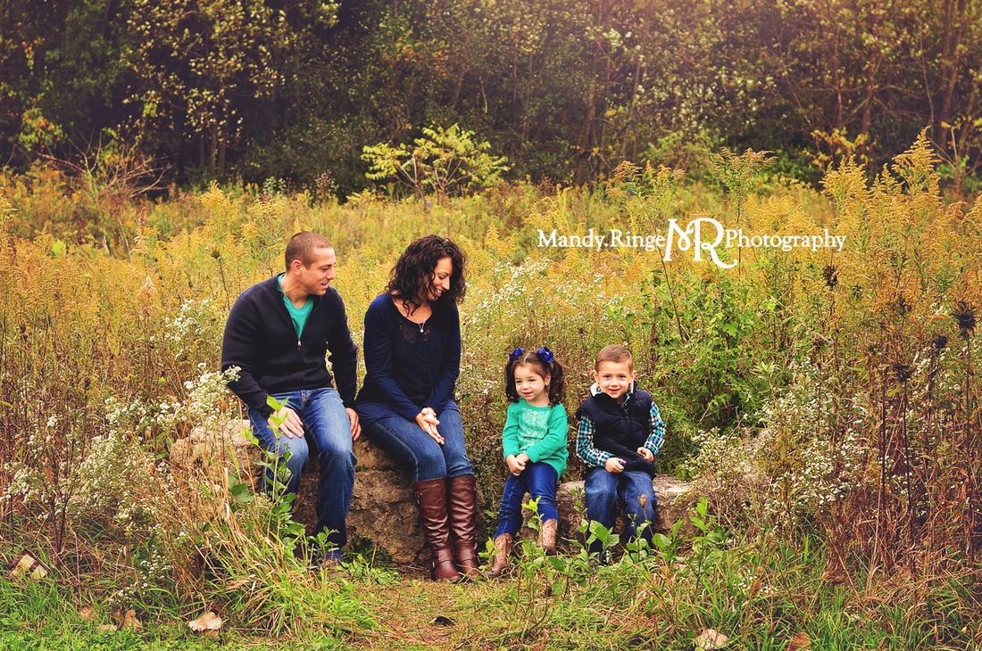 St. Charles, Batavia, Geneva, Wheaton, IL Family, Child, Baby, and Maternity Photographer: Family Portraits at Leroy Oakes Forest Preserve by Mandy Ringe Photography 