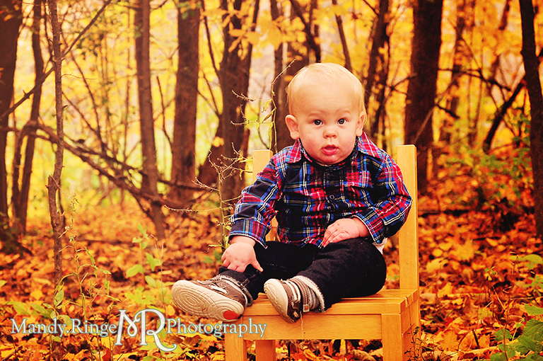 1 year old boy sitting on a chair in a grove of yellow maple trees // First birthday portraits // Leroy Oaks - St Charles, IL // by Mandy Ringe Photography