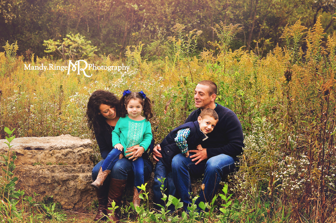 St. Charles, Batavia, Geneva, Wheaton, IL Family, Child, Baby, and Maternity Photographer: Family Portraits at Leroy Oakes Forest Preserve by Mandy Ringe Photography 