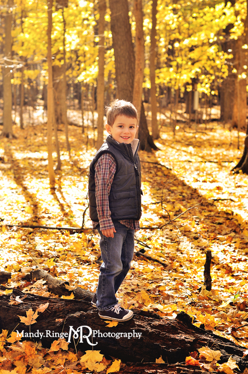 Fall family portraits // Yellow maple tree grove, leaves, forest, woods, log // River Trail Nature Center - Northbrook, IL // by Mandy Ringe Photography