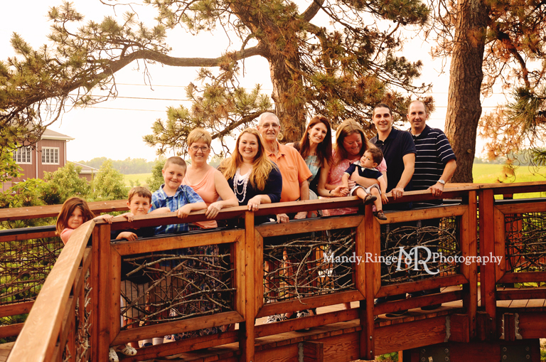 Extended family portrait session // Standing on a wooden bridge  // Peck Farm Park - Geneva, IL // by Mandy Ringe Photography