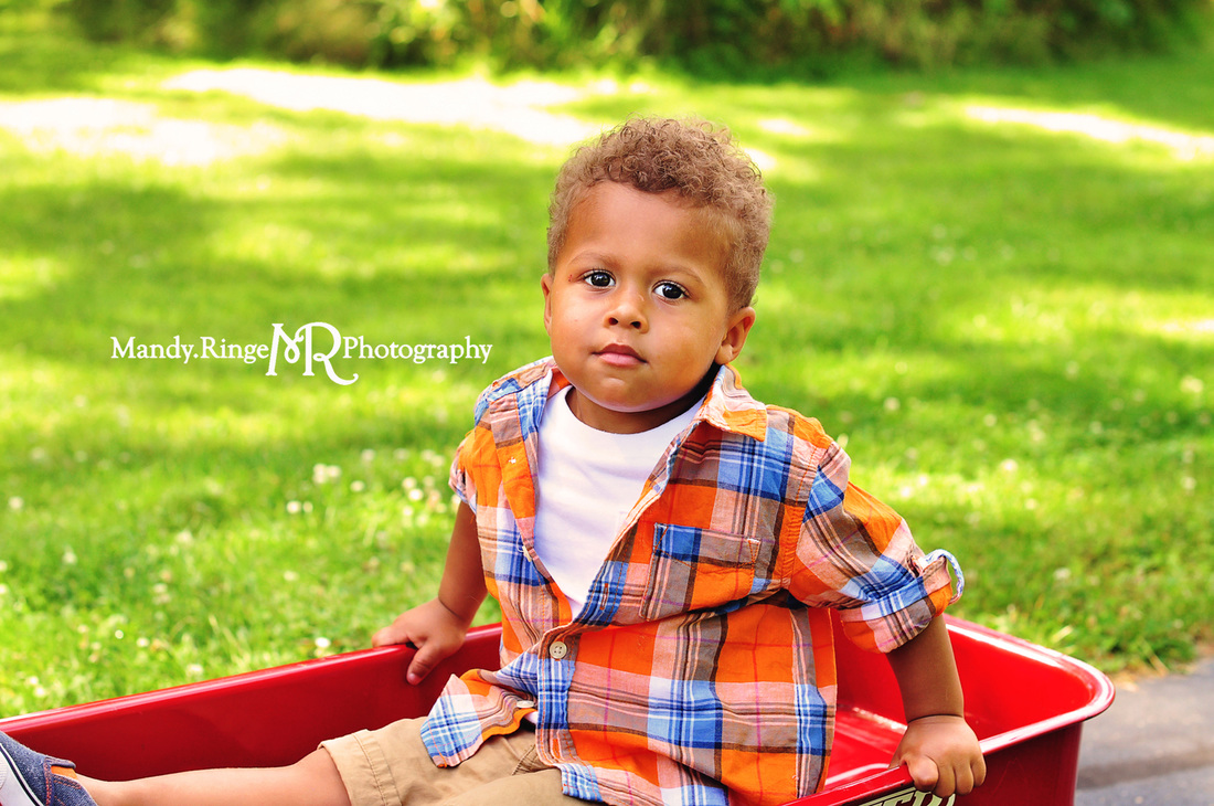 Second birthday portraits // outdoors, Radio Flyer wagon // Delnor Woods Park - St. Charles, IL // by Mandy Ringe Photography