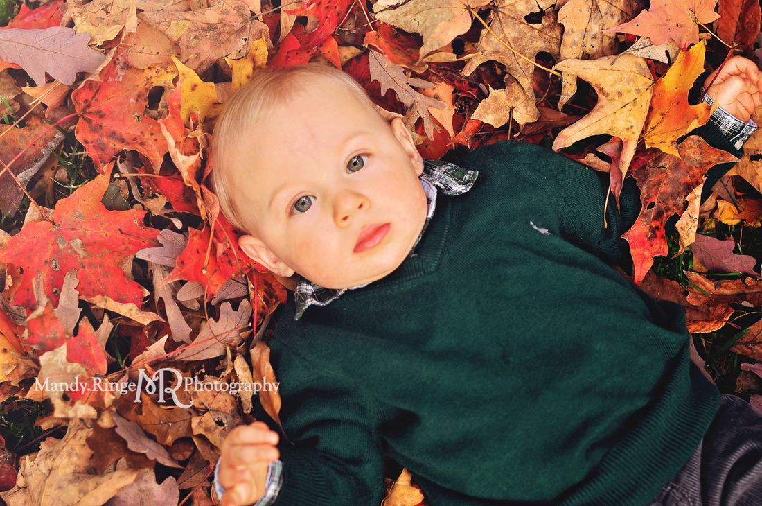 9 month old boy portraits // fall, autumn, leaves, fall foliage // Pottawatomie Park - St. Charles, IL // by Mandy Ringe Photography