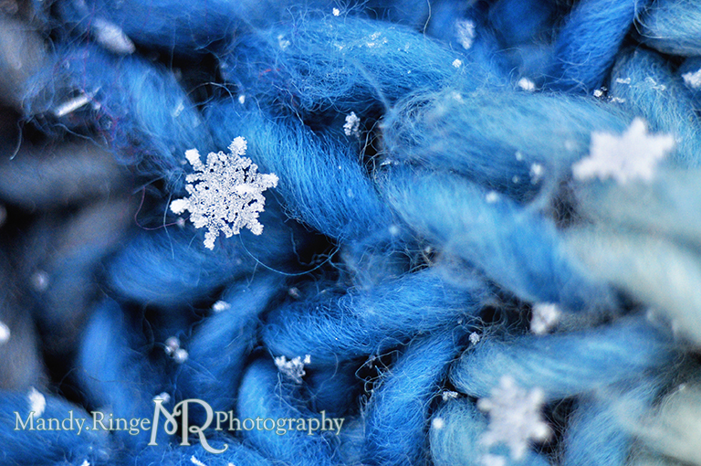 Snowflake macro // Blue scarf // St. Charles, IL // by Mandy Ringe Photography