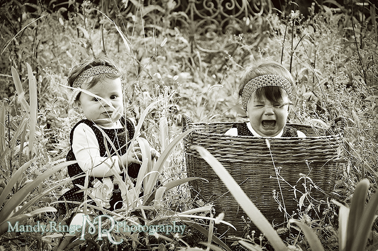 Fall portraits of 9 month old twins wearing Thanksgiving dresses // In a garden with one sitting in a basket while the other stands // St. James Farm - Wheaton, IL // by Mandy Ringe Photography